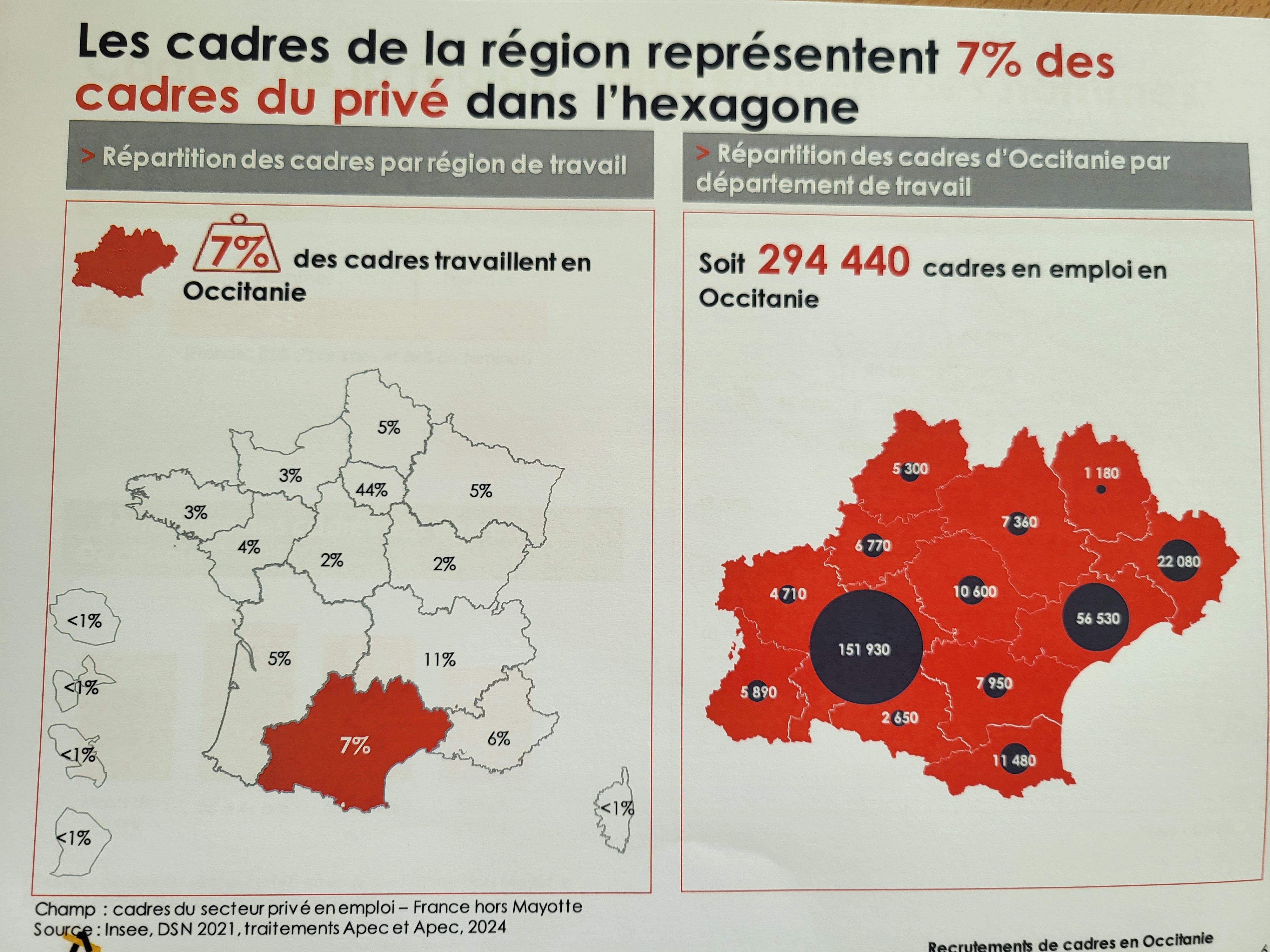 294 440 cadres travaillent en Occitanie, dont plus de la moitié dans la zone d'influence de Toulouse. (Document : Apec Occitanie)