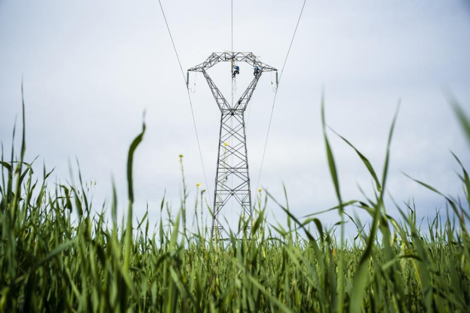 La consommation électrique repart légèrement à la hausse en Occitanie. En 2025, elle atteint 37,2 TWh, soit +1,1 % par rapport à 2024. (Photo RTE)