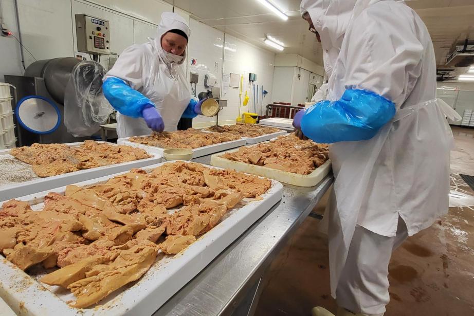 L'usine de Gimont de l'entreprise Ducs de Gascogne transforme 100 tonnes de foie gras par an. (Photo : Anthony Assémat - Entreprises Occitanie)