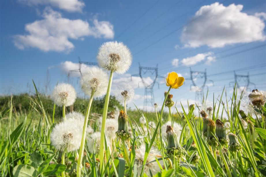 RTE a fortement renforcé ses investissements en Occitanie en 2024, injectant 205 millions d'euros dans les infrastructures et près de 300 millions d'euros dans le tissu économique régional, pour accompagner la montée en puissance du mix énergétique local. (Photo RTE)