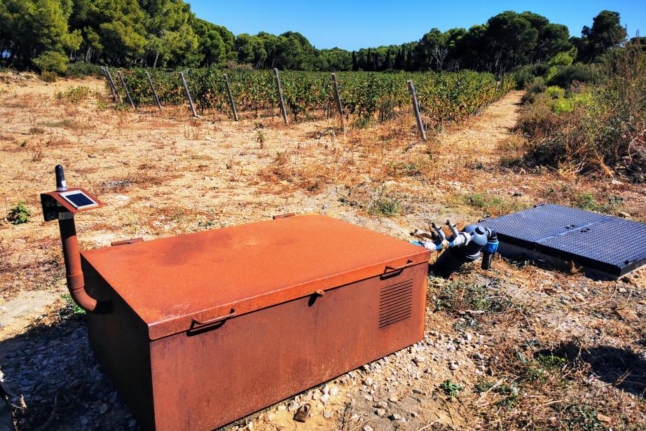 Le monde agricole cherche des solutions, comme ici à Gruissan (Aude) avec la Réutilisation des eaux usées traitées (REUT). (Photo : Sylvie Brouillet - Entreprises Occitanie)