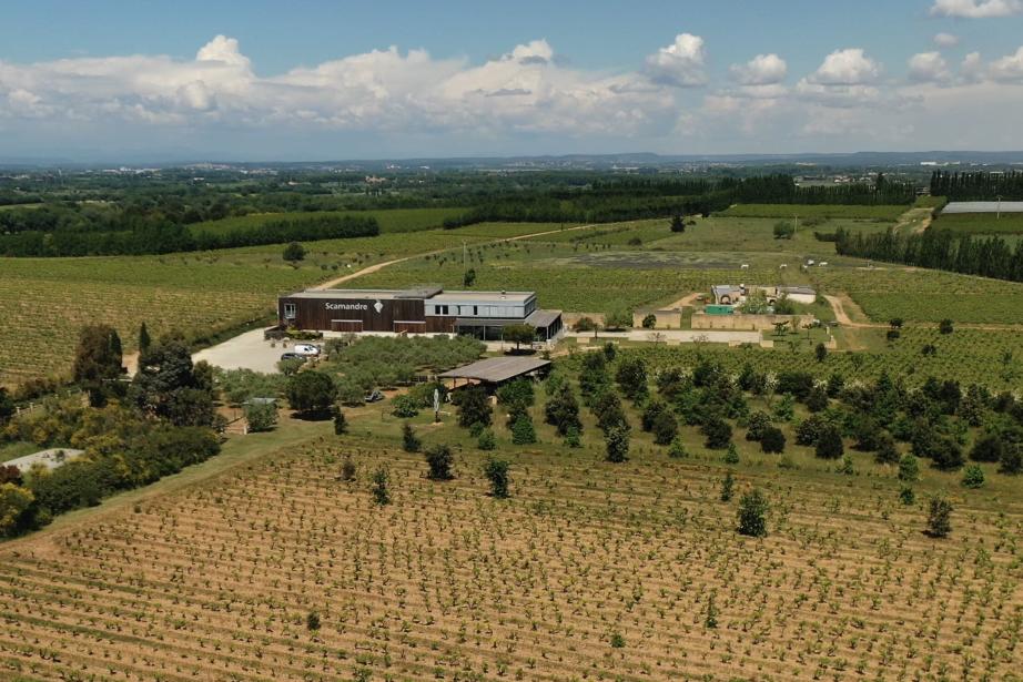 Le Domaine Scamandre a bénéficié des programmes "20 000 pieds sur terre" du Plan Arbres régional et des aides des Fondations de France et Yves Rocher.