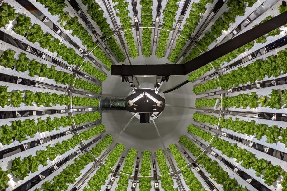 Futura Gaia, basée dans le Gard, conçoit des fermes verticales automatisées sur terreau. (Photo : Futura Gaia)