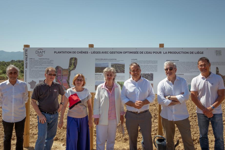 Sur le site de Mas Valette à Passa, les jeunes plants de chênes-lièges bénéficient d’un suivi hebdomadaire par les équipes techniques de Diam Bouchage, afin d’adapter en temps réel la ferti-irrigation selon les données hydriques du sol. Une approche de précision encore rare dans la culture du liège, testée ici pour la première fois en France. (Photo Diam Bouchage)