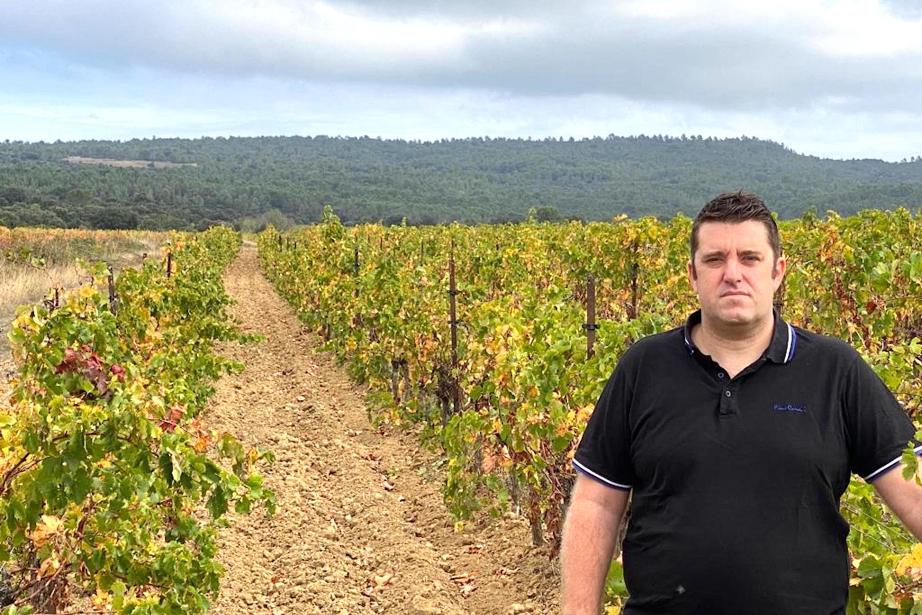 Ludovic Roux, président régional des coopératives viticoles. @VCO.