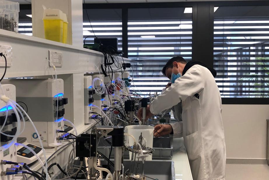 Les nouveaux locaux TWB dans le campus Insa à Toulouse.