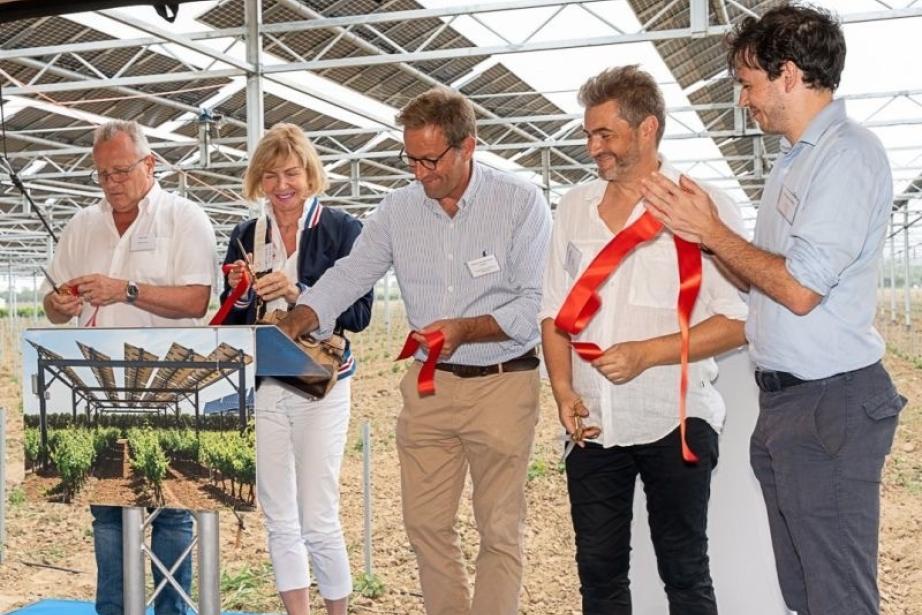 Sun’Agri avait inauguré en 2018, à Tresserre (Pyrénées-Orientales), le tout premier démonstrateur agrivoltaïque dynamique mondial (4,5ha) et les déploie désormais sur les territoires et cultures les plus touchées par le dérèglement climatique, avec 22 sites en opération ou en construction en 2023. (Photo : Sun'Agri)