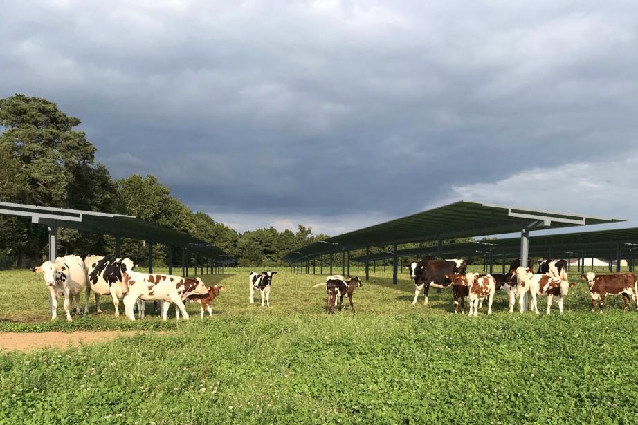 Fondée par Vincent Lorioux, fils d’agricultrice et ancien expert foncier agricole, EFEA défend une vision d’un agrivoltaïsme plus respectueux des exploitations, des territoires et de l’environnement, avec des solutions technologiques pilotables directement par les agriculteurs. (Photo EFEA)