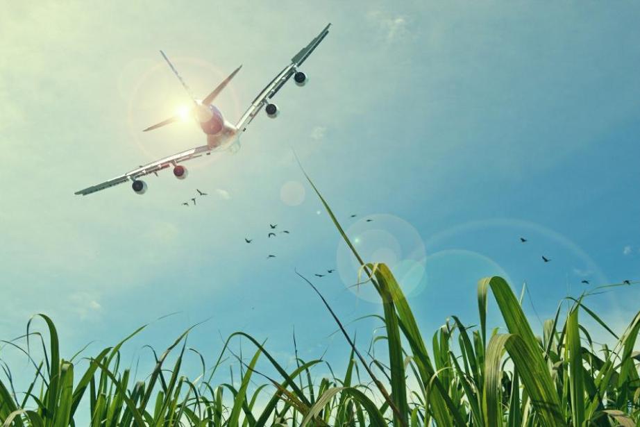 Maele permettra de fédérer les acteurs de l'avion propre pour faire émerger des projets. Maele permettra de fédérer les acteurs de l'avion propre pour faire émerger des projets.