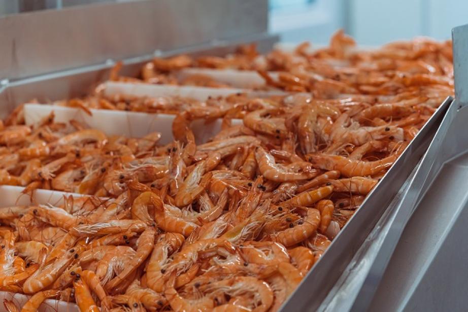 150 000 tonnes de crevettes ont été traiétes et vendues par Crusta C en 2019.