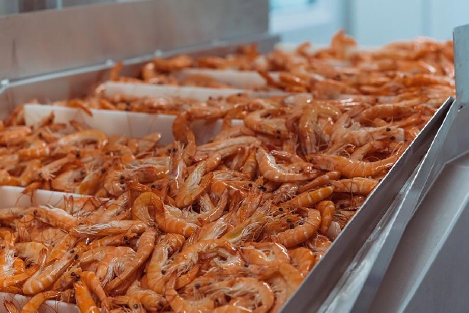 150 000 tonnes de crevettes ont été traiétes et vendues par Crusta C en 2019. 150 000 tonnes de crevettes ont été traiétes et vendues par Crusta C en 2019.