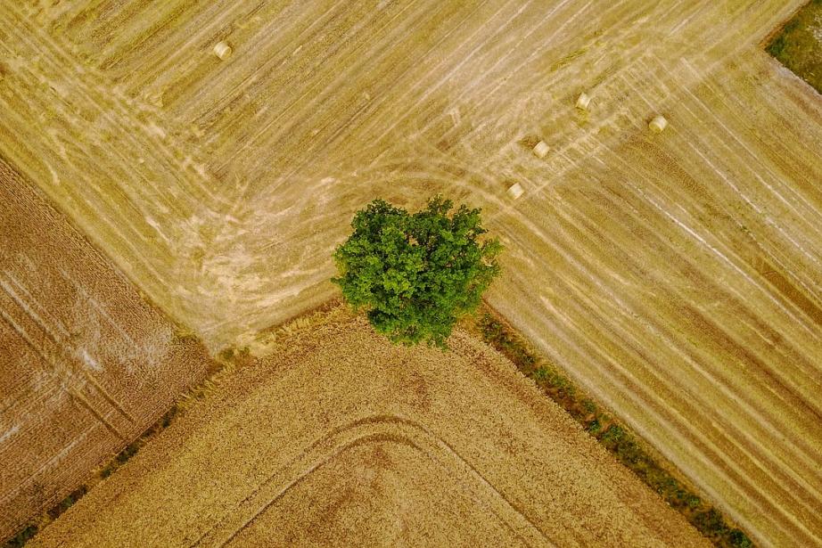 Sur la période 2011-2021, l'Occitanie a utilisé 27 400 hectares d'espaces naturels, avec 66 % de cette surface consacrée au logement. La réforme ZAN vise à inverser cette tendance. (Photo d'illustration : Pixabay)