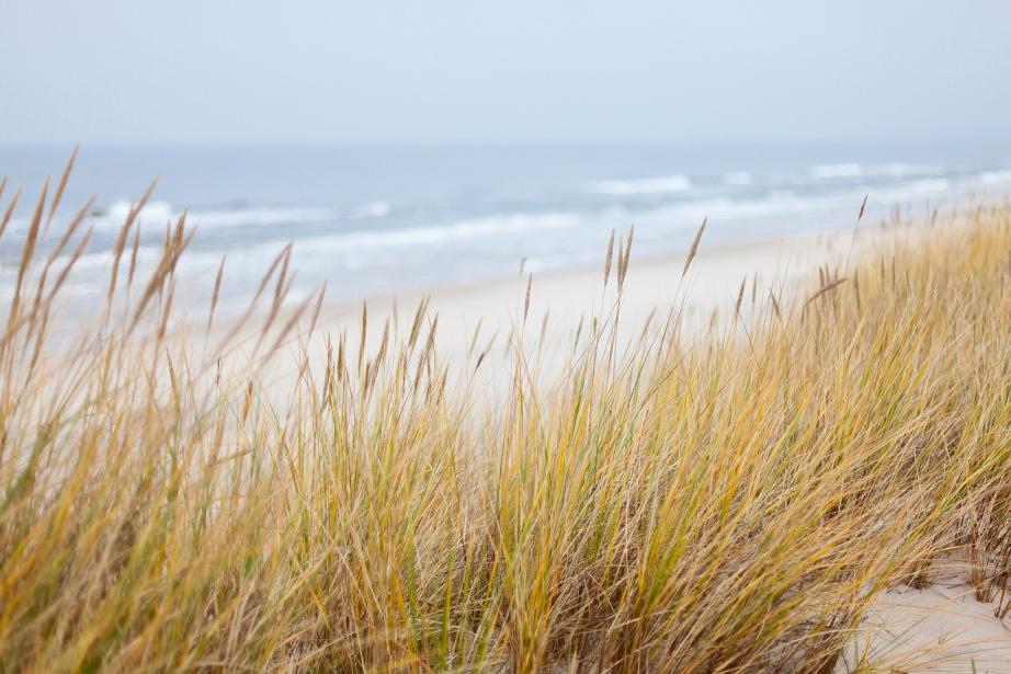 Depuis 2019, « Avenir littoral » a permis de distinguer 36 projets, portés par plus de 87 acteurs territoriaux et soutenus conjointement par l’État et la Région à hauteur de 5,4 millions d'euros. (Photo Pixabay).