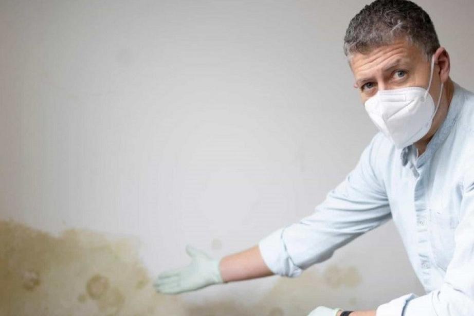 William Coignard, fondateur de Humidistop. (Photo Humidistop)