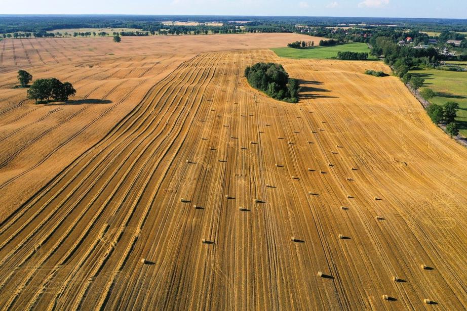 Le prix moyen par hectare (d’une terre « nue ») en France est de 6 603 euros (+1,6% vs 2022) contre 8090 euros en Occitanie. (Photo d'illustration : Pixabay)