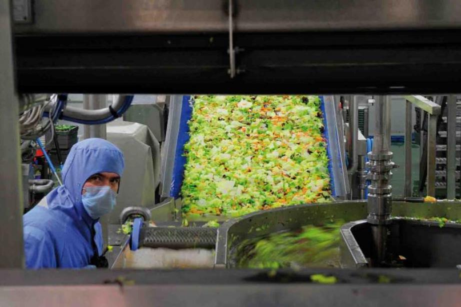 Florette Food Services compte 2 usines à Torreilles Florette Food Services compte 2 usines à Torreilles