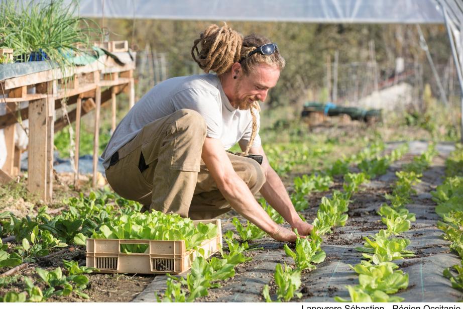 Il existe 24 Geiq en Occitanie, fédérant plus de 600 entreprises. (Photo : Sébastien Lapeyrère - Région Occitanie)