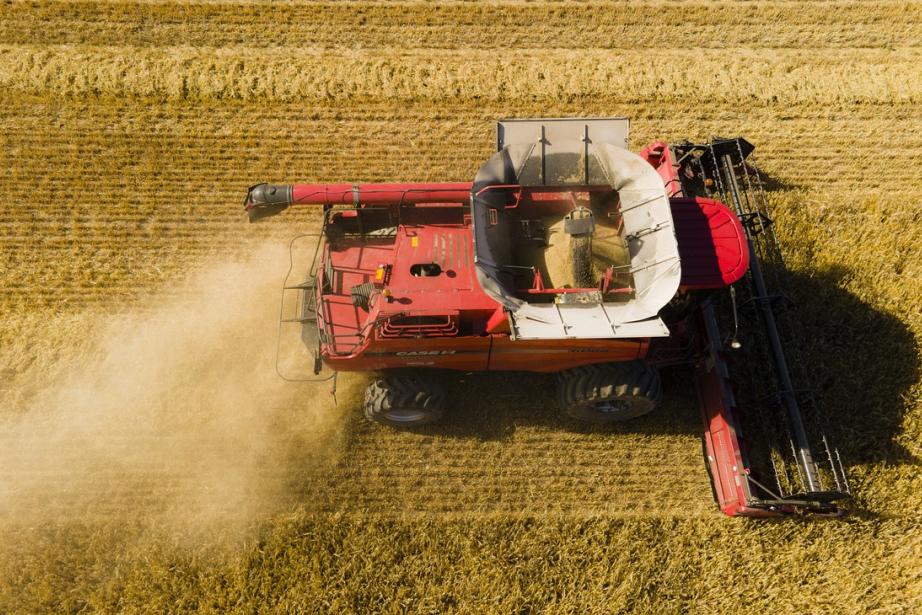 Avec 64,9 M€ de chiffre d’affaires, un résultat net redevenu positif, une capacité d’autofinancement renforcée et des investissements massifs dans l’innovation agronomique, la coopérative gersoise enclenche une nouvelle dynamique territoriale. (Photo Pixabay)