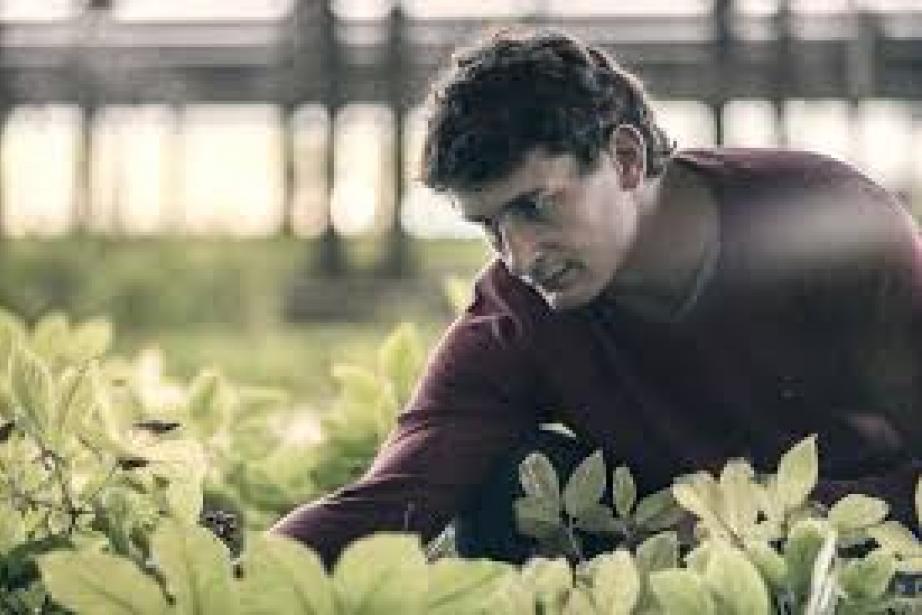 L'ex rugbyman Yannick Jauzion est le président de France Ginseng, la PME qui développe la marque Jardins d'Occitanie. L'ex rugbyman Yannick Jauzion est le président de France Ginseng, la PME qui développe la marque Jardins d'Occitanie.