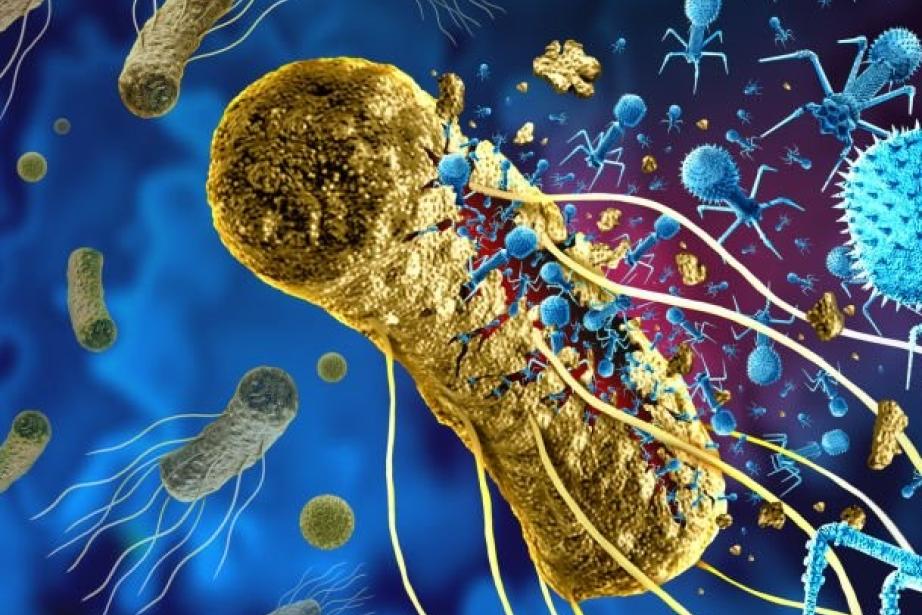 L’unité de production à Montpellier va permettre de traiter jusqu’à 150 sites. (Photo Istock Greenphage)