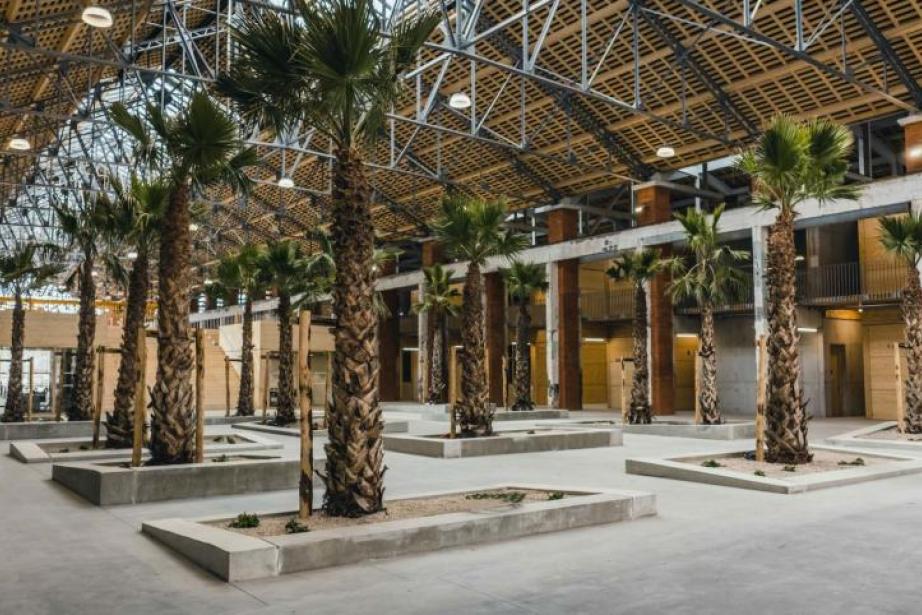 La Cité sera le nouveau "vaisseau amiral" de l'association, et qui se veut être un QG de l'innovation porté par la Région Occitanie. La Cité sera le nouveau "vaisseau amiral" de l'association, et qui se veut être un QG de l'innovation porté par la Région Occitanie.