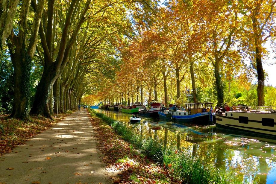 En 2024, plus de 415 000 €, dont 100 000 € de l’entreprise AXA, ont permis de contribuer à la replantation cet hiver de 1500 arbres et à l’installation de 300 nichoirs. (Photo Pixabay)