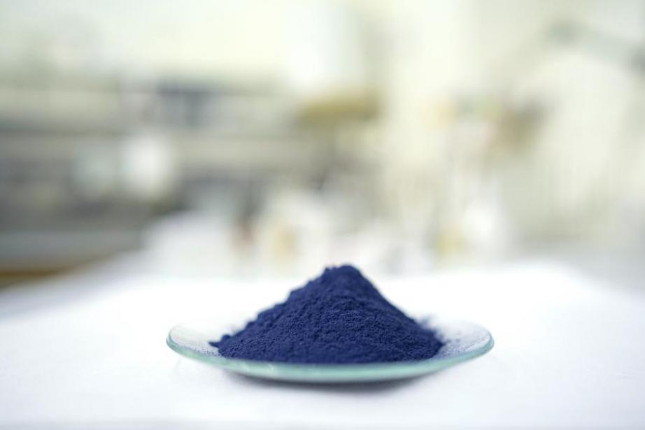 Des pigments produits par Pili (photo Marie-Sarah Adenis) Des pigments produits par Pili (photo Marie-Sarah Adenis)