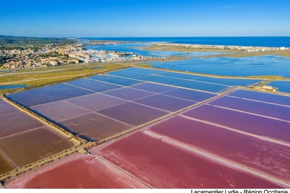 Le Salin de Gruissan attire chaque année près de 500 000 visiteurs sur son site. (Photo : Lydie Lecarpentier/Région Occitanie)