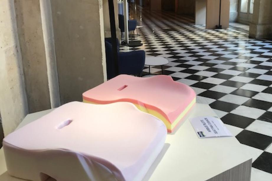 Les mousses conçues par Celso ont été sélectionnées pour l'exposition Choose France organisée à Versailles ce début d'année. Les mousses conçues par Celso ont été sélectionnées pour l'exposition Choose France organisée à Versailles ce début d'année.