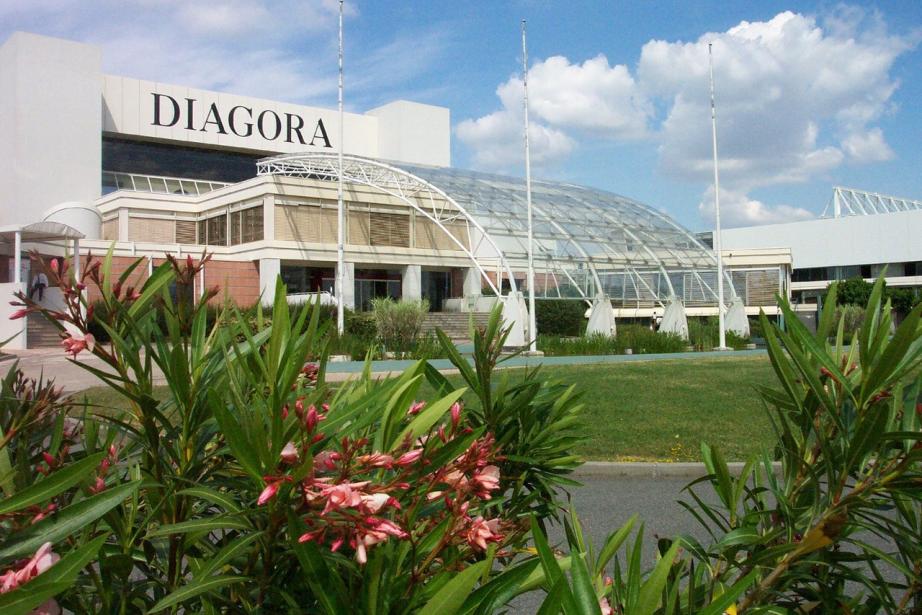 Le centre de congrès et d’exposition Diagora à Labège, acteur incontournable depuis plus de 30 ans, amorce en 2025 un virage culturel avec une programmation variée mêlant concerts, spectacles et expositions, pour renforcer son rôle de lieu de vie au cœur du sud-est toulousain. (Photo Diagora)