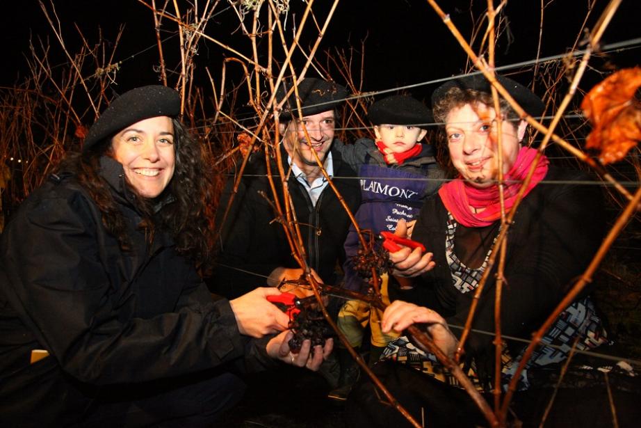 Les participants ont récolté les dernières grappes de l'année Les participants ont récolté les dernières grappes de l'année