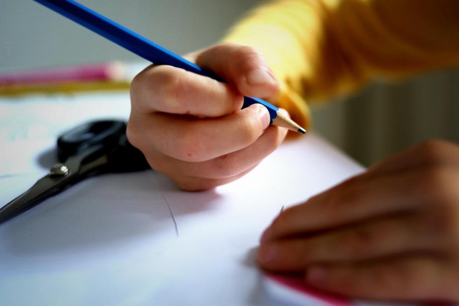 Des repas équilibrés et locaux, des transports gratuits, une aide concrète aux familles : la région Occitanie met tout en œuvre pour une rentrée scolaire solidaire et réussie. (Photo Pixabay)