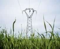 La consommation électrique repart légèrement à la hausse en Occitanie. En 2025, elle atteint 37,2 TWh, soit +1,1 % par rapport à 2024. (Photo RTE)