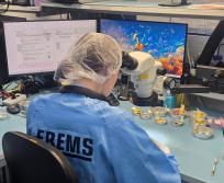 Avec ses nouvelles installations industrielles à Flourens, EREMS entend consolider son ancrage en Haute-Garonne et accompagner la montée en puissance des constellations spatiales, de l’observation de la Terre aux télécommunications. (Photo Dorian Alinaghi)