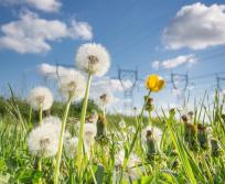 RTE a fortement renforcé ses investissements en Occitanie en 2024, injectant 205 millions d'euros dans les infrastructures et près de 300 millions d'euros dans le tissu économique régional, pour accompagner la montée en puissance du mix énergétique local. (Photo RTE)