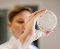 L’entreprise collabore avec des partenaires de recherche et d’innovation en France (AgroParisTech, INRAE), en Europe (Université de Copenhague) et à l’international (Université d’Auckland). (Photo Green Spot Technologies)