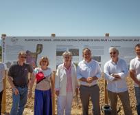 Sur le site de Mas Valette à Passa, les jeunes plants de chênes-lièges bénéficient d’un suivi hebdomadaire par les équipes techniques de Diam Bouchage, afin d’adapter en temps réel la ferti-irrigation selon les données hydriques du sol. Une approche de précision encore rare dans la culture du liège, testée ici pour la première fois en France. (Photo Diam Bouchage)