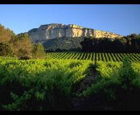 Domaine Pic Saint Loup. Céline et Gilles Deschamps / CIVL. 