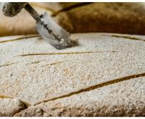 Fondée en 1993, la maison artisanale tarnaise a construit son développement autour d'un parti pris qui traverse les décennies : bio, production artisanale, circuits courts et prix accessible. (Photo Pain & Nature)