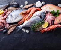 La SCAPP Poissonniers-Corail et l’OPEF, Organisation des Poissonniers Ecaillers de France, accompagnées de leurs partenaires nationaux, lancent le 1er salon en France dédié à la poissonnerie et aux produits de la mer : le SNAP. (Photo MIN)
