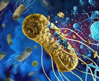 L’unité de production à Montpellier va permettre de traiter jusqu’à 150 sites. (Photo Istock Greenphage)