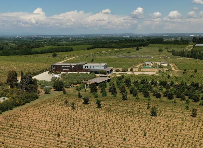 Le Domaine Scamandre a bénéficié des programmes "20 000 pieds sur terre" du Plan Arbres régional et des aides des Fondations de France et Yves Rocher. 