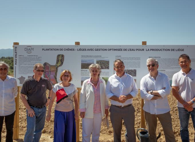 Sur le site de Mas Valette à Passa, les jeunes plants de chênes-lièges bénéficient d’un suivi hebdomadaire par les équipes techniques de Diam Bouchage, afin d’adapter en temps réel la ferti-irrigation selon les données hydriques du sol. Une approche de précision encore rare dans la culture du liège, testée ici pour la première fois en France. (Photo Diam Bouchage)
