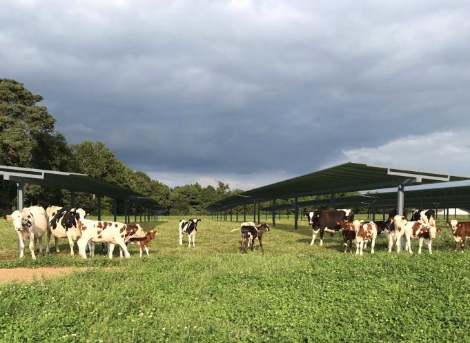 Fondée par Vincent Lorioux, fils d’agricultrice et ancien expert foncier agricole, EFEA défend une vision d’un agrivoltaïsme plus respectueux des exploitations, des territoires et de l’environnement, avec des solutions technologiques pilotables directement par les agriculteurs. (Photo EFEA)
