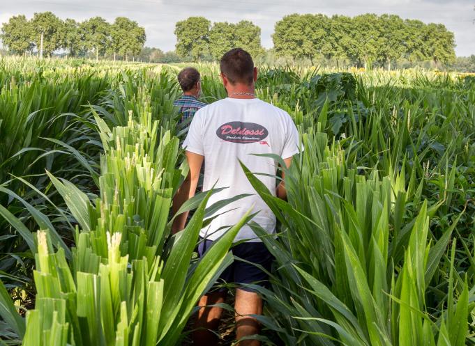 La coopérative Arterris recherche plus de 650 personnes et va notamment pratiquer le CV inversé dans sa politique de recrutement. (Photo : Arterris)