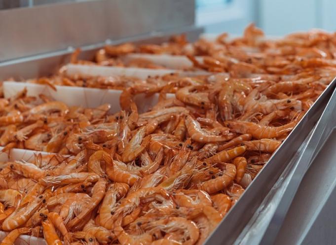 150 000 tonnes de crevettes ont été traiétes et vendues par Crusta C en 2019.