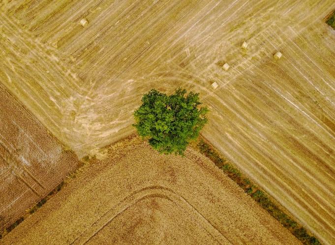 Sur la période 2011-2021, l'Occitanie a utilisé 27 400 hectares d'espaces naturels, avec 66 % de cette surface consacrée au logement. La réforme ZAN vise à inverser cette tendance. (Photo d'illustration : Pixabay)