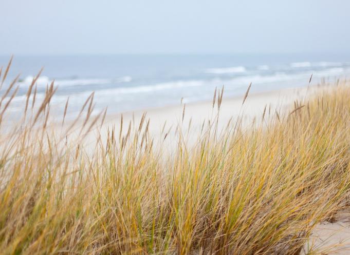 Depuis 2019, « Avenir littoral » a permis de distinguer 36 projets, portés par plus de 87 acteurs territoriaux et soutenus conjointement par l’État et la Région à hauteur de 5,4 millions d'euros. (Photo Pixabay). 