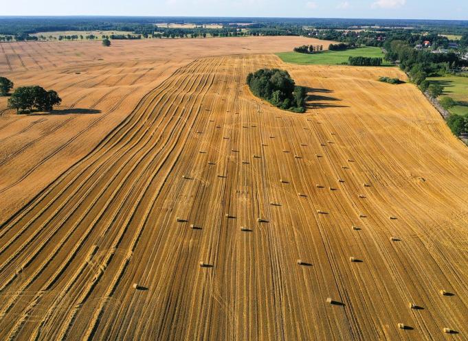 Le prix moyen par hectare (d’une terre « nue ») en France est de 6 603 euros (+1,6% vs 2022) contre 8090 euros en Occitanie. (Photo d'illustration : Pixabay)