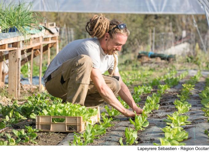 Il existe 24 Geiq en Occitanie, fédérant plus de 600 entreprises. (Photo : Sébastien Lapeyrère - Région Occitanie)